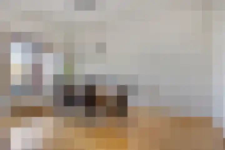 Elisabethplaats 42 Gemert thumbnail 10