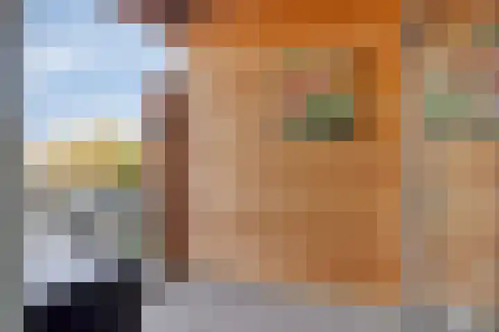 Elisabethplaats 42 Gemert thumbnail 14