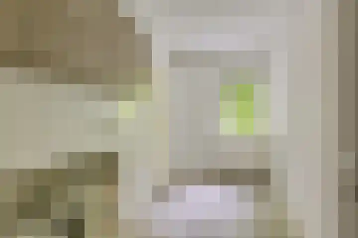 Elisabethsdal 14 Weert thumbnail 15