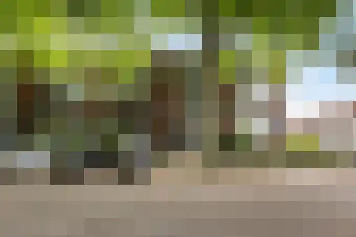 Elisabethsdal 14 Weert thumbnail 31