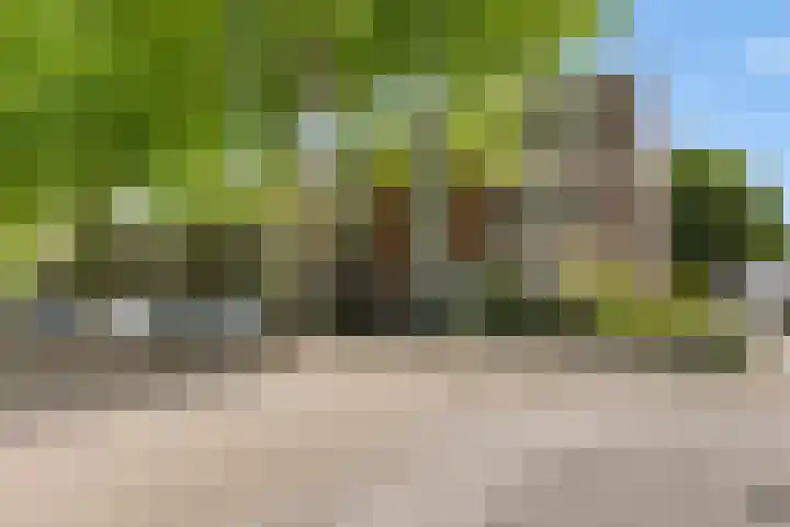 Elisabethsdal 14 Weert thumbnail 32