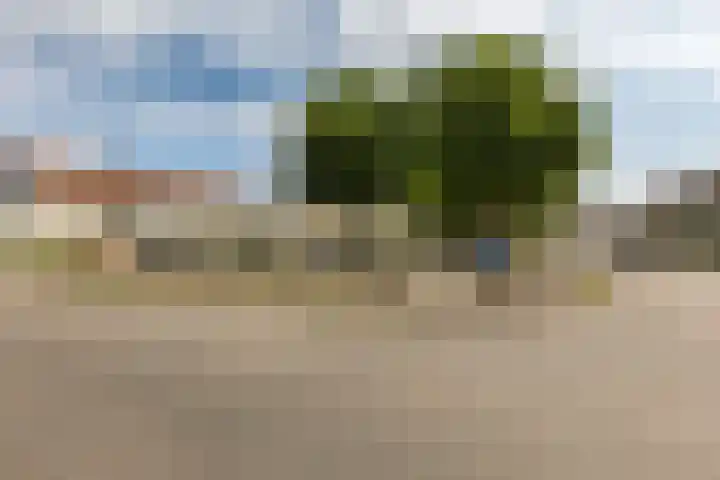 Elisabethsdal 14 Weert thumbnail 33