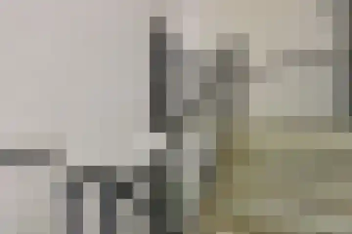 Elisabethsdal 14 Weert thumbnail 5