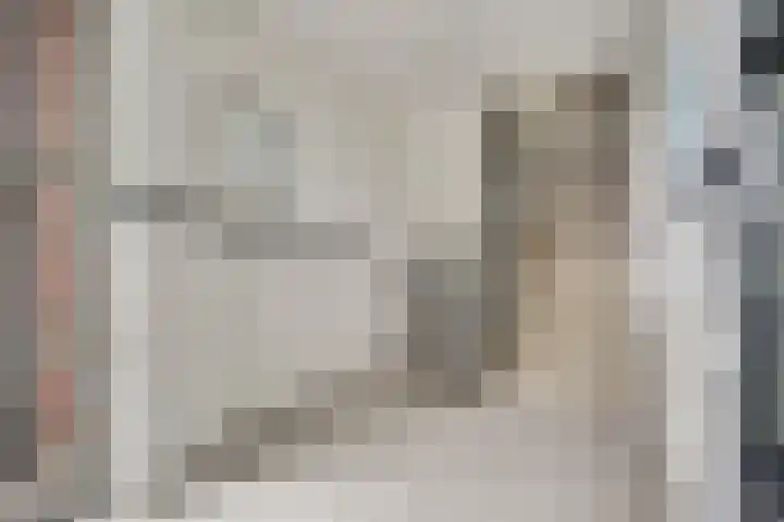 Elisabethsdal 15 Weert thumbnail 10