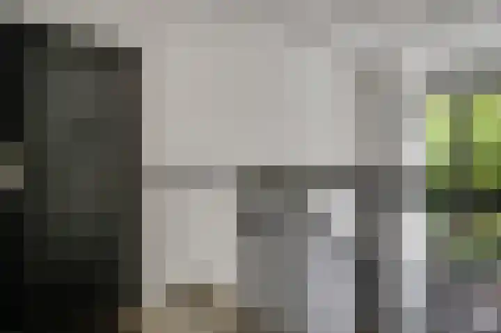 Elisabethsdal 15 Weert thumbnail 11
