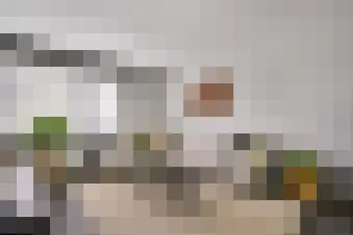 Elisabethsdal 15 Weert thumbnail 14