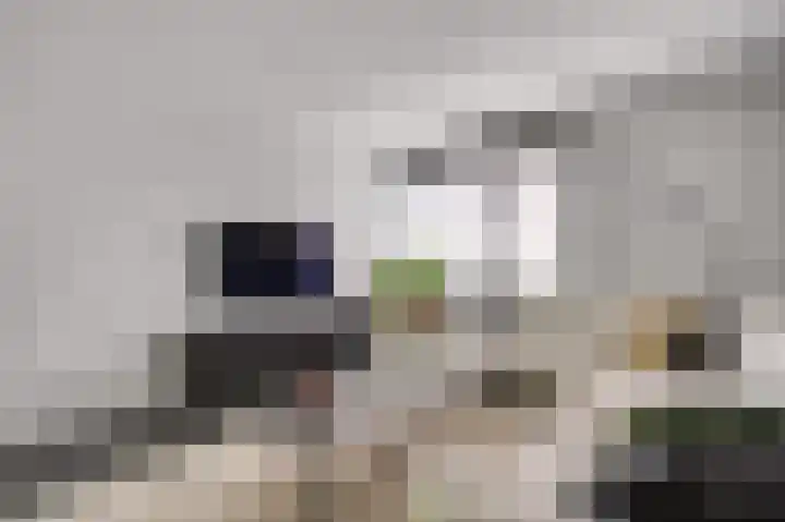 Elisabethsdal 15 Weert thumbnail 15