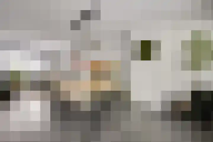 Elisabethsdal 15 Weert thumbnail 18