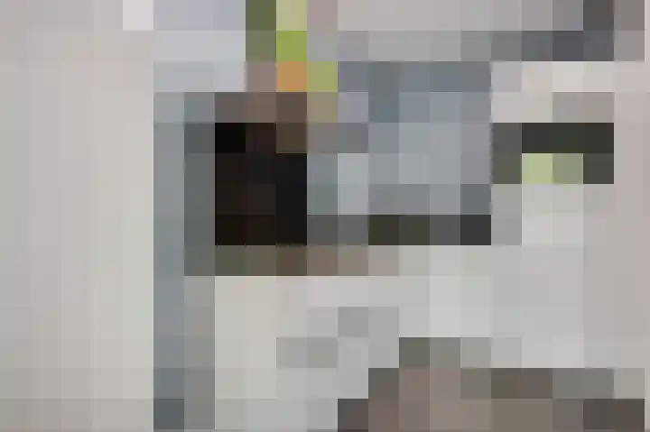 Elisabethsdal 15 Weert thumbnail 21