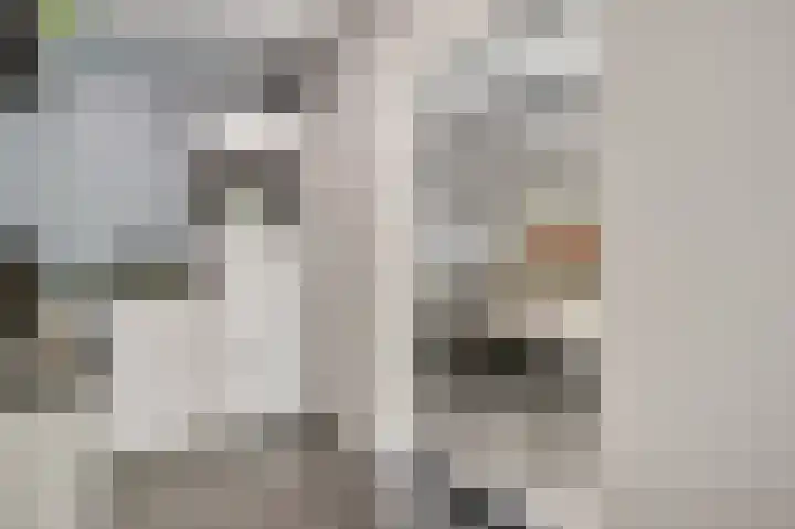 Elisabethsdal 15 Weert thumbnail 22