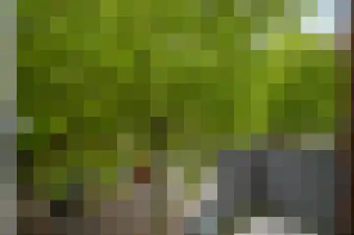 Elisabethsdal 15 Weert thumbnail 27