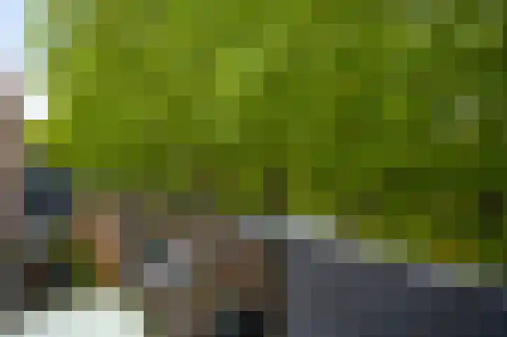 Elisabethsdal 15 Weert thumbnail 28