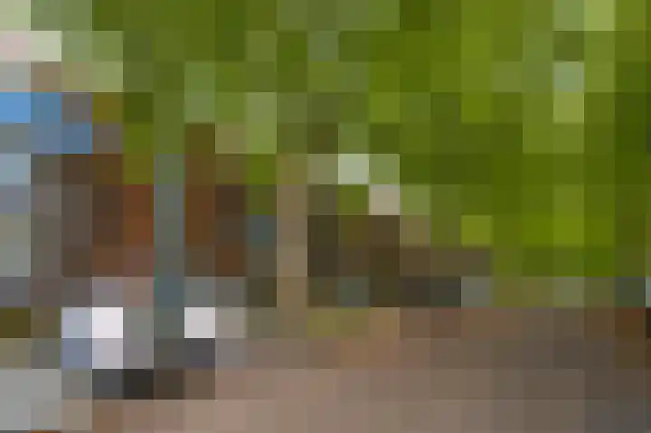 Elisabethsdal 15 Weert thumbnail 6