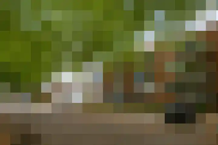 Elisabethsdal 15 Weert thumbnail 7