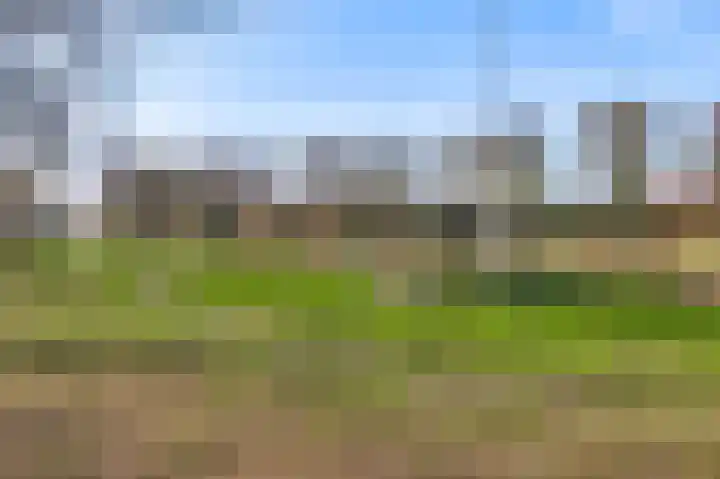 Elisabethsdal 18 Weert thumbnail 26