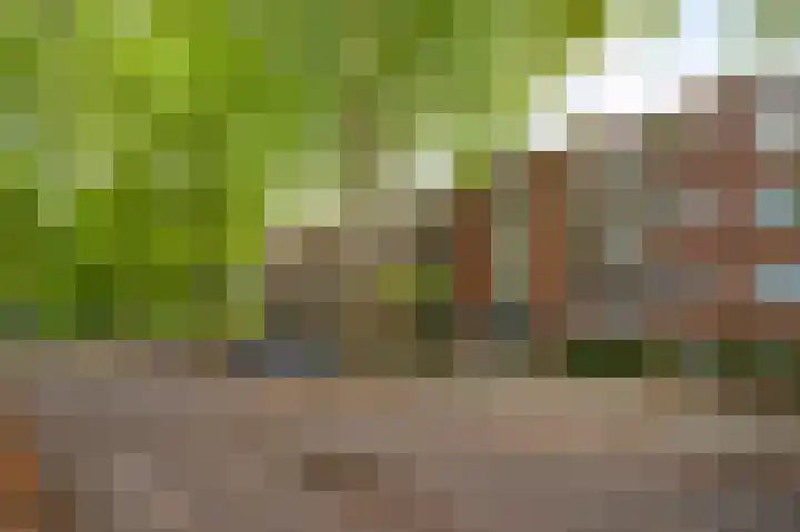 Elisabethsdal 34 Weert
