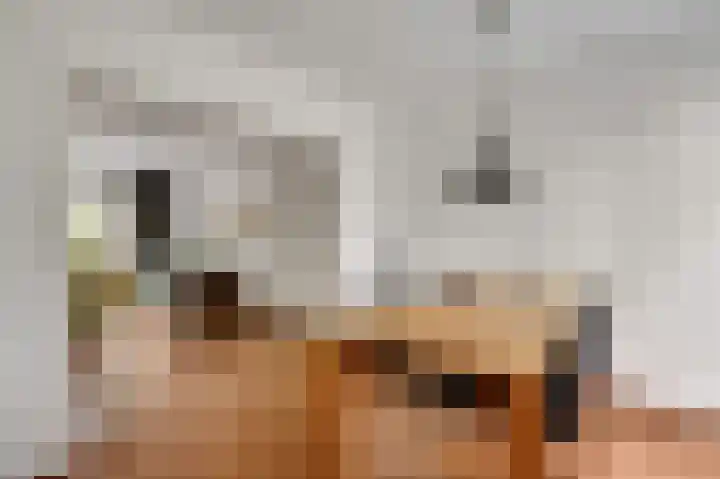 Elisabethsdal 34 Weert thumbnail 15