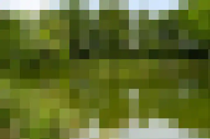 Elisabethsdal 34 Weert thumbnail 27
