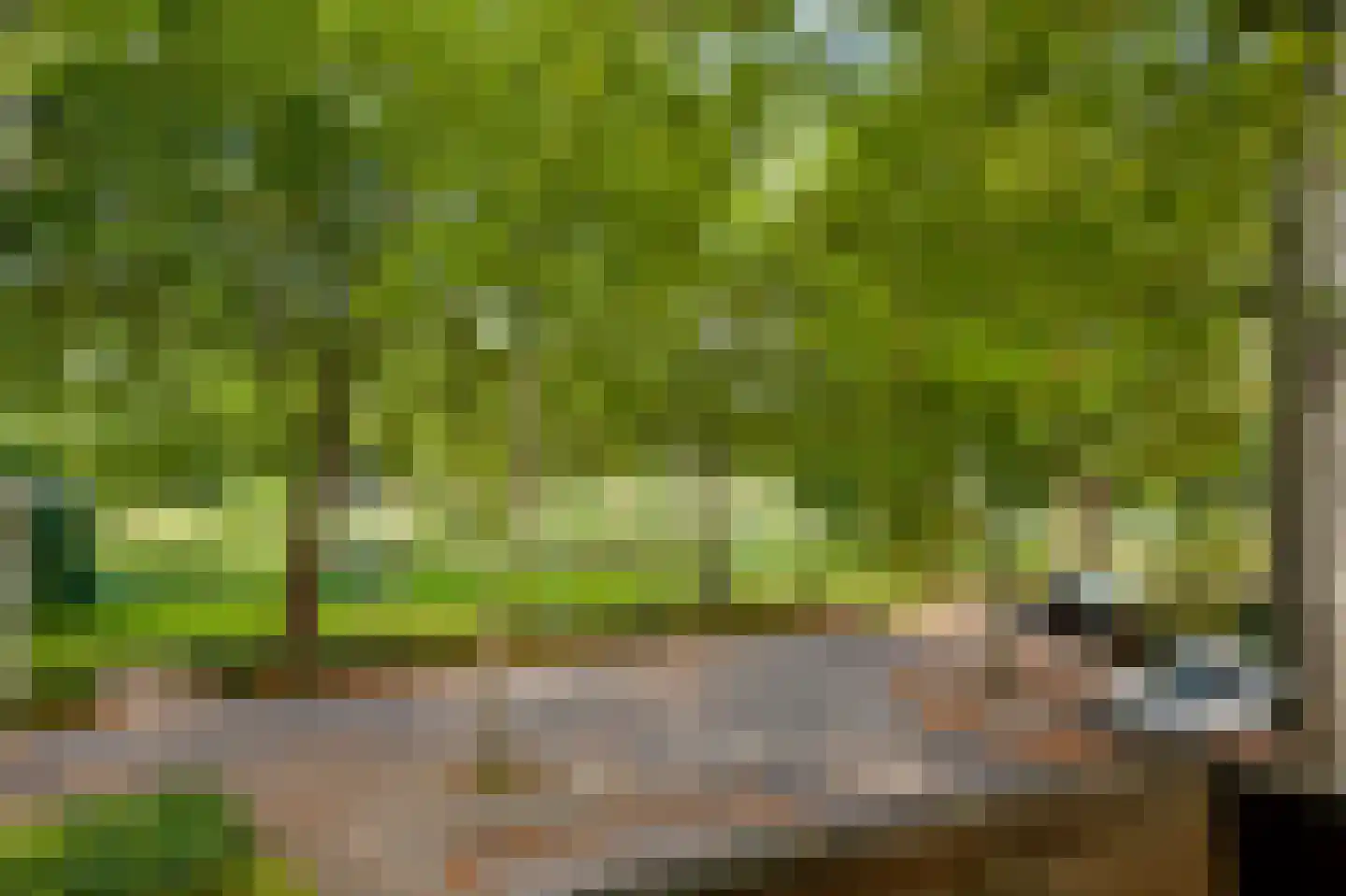 Elisabethsdal 47 Weert thumbnail 17