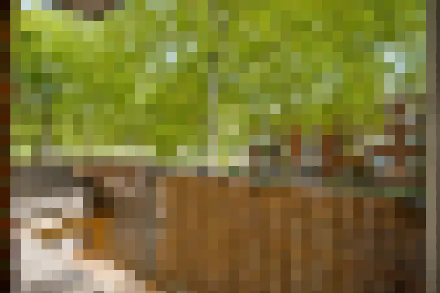 Elisabethsdal 47 Weert thumbnail 19
