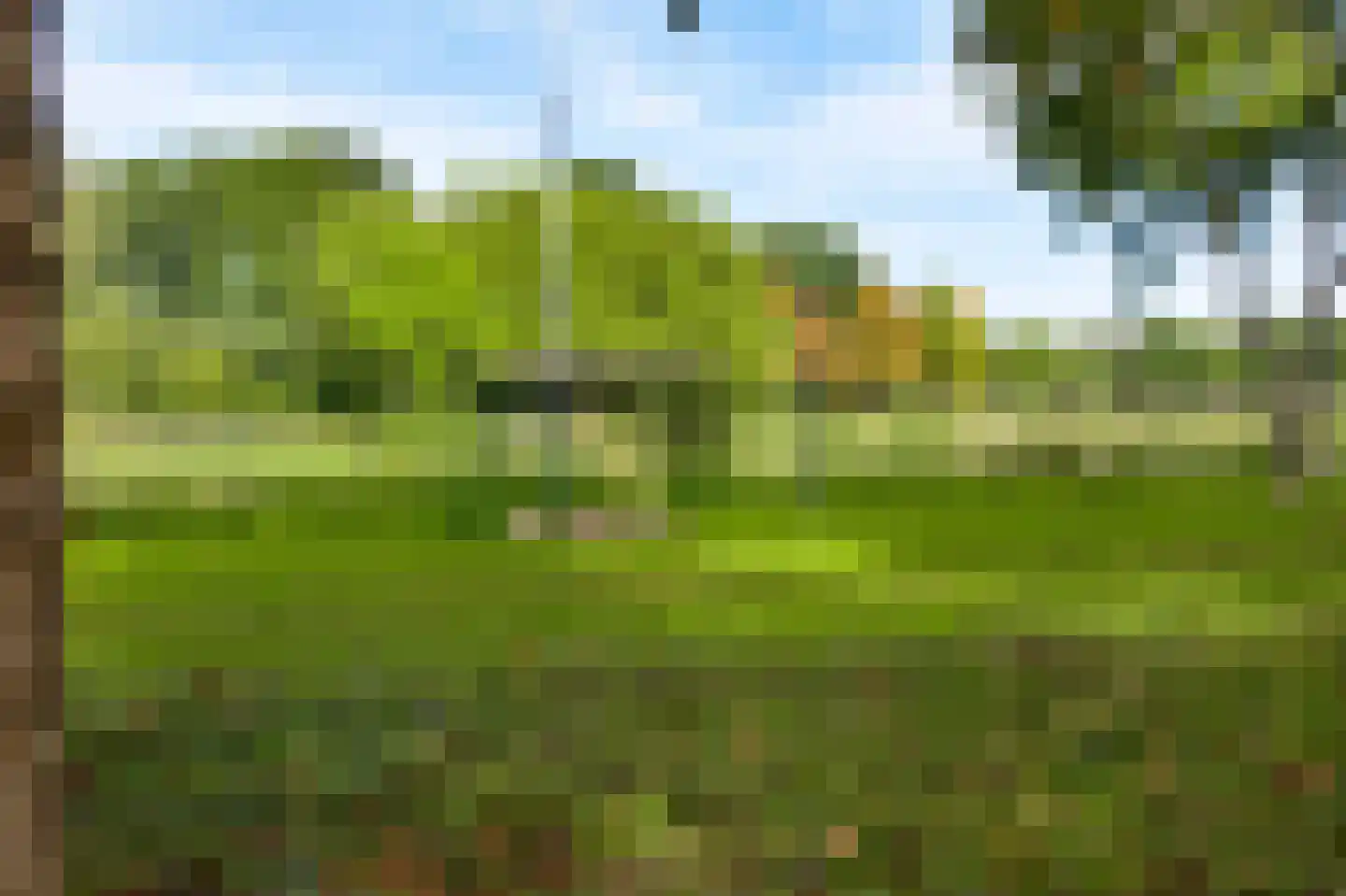 Elisabethsdal 47 Weert thumbnail 24