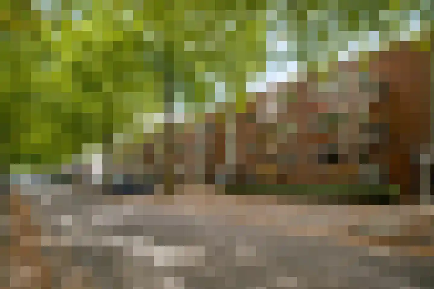 Elisabethsdal 47 Weert thumbnail 9