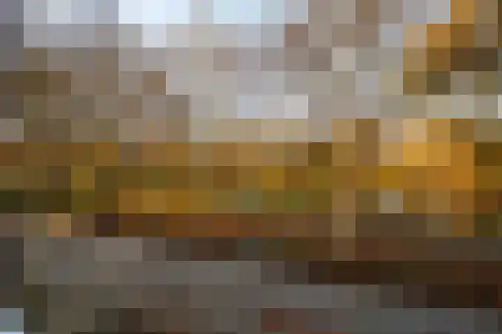 Elisabethsdal 52 Weert thumbnail 19