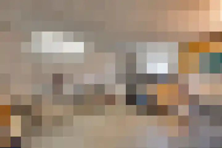 Elisabethsdal 52 Weert thumbnail 31