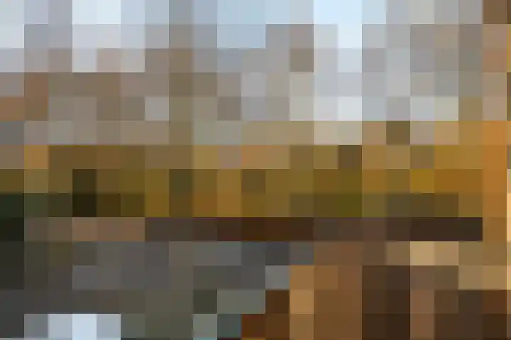 Elisabethsdal 52 Weert thumbnail 33