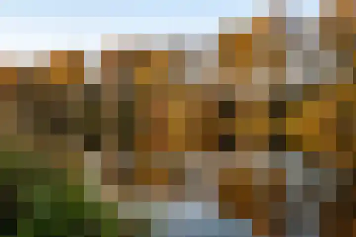 Elisabethsdal 52 Weert thumbnail 36