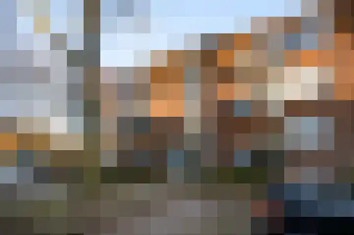Elisabethsdal 52 Weert thumbnail 8
