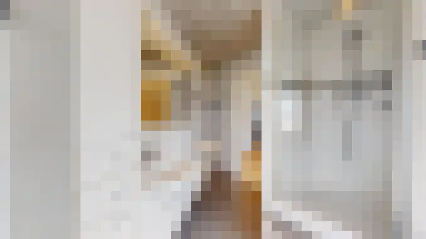 Elisabethstraat 1 Geleen thumbnail 28