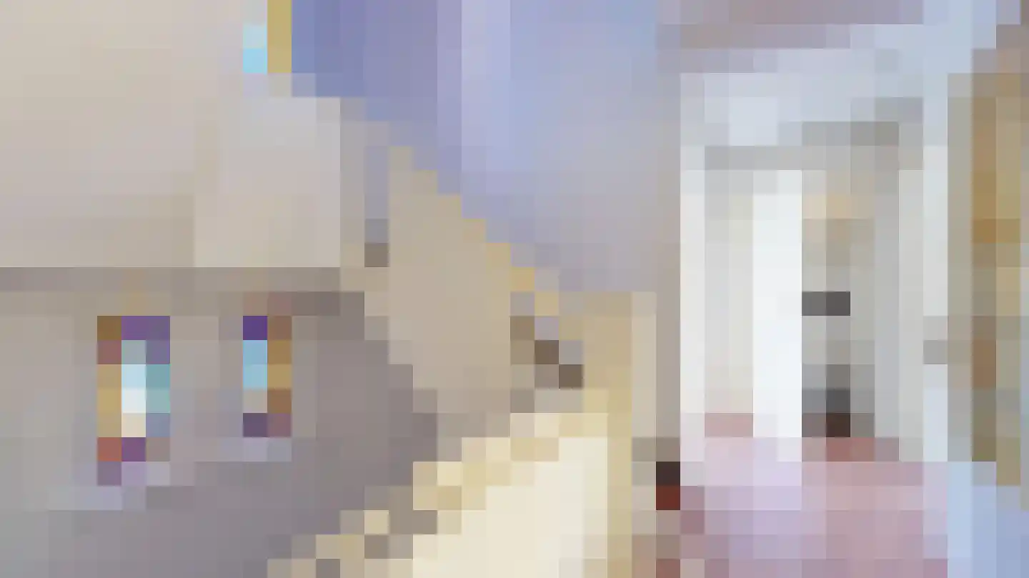Elisabethstraat 1 Geleen thumbnail 9