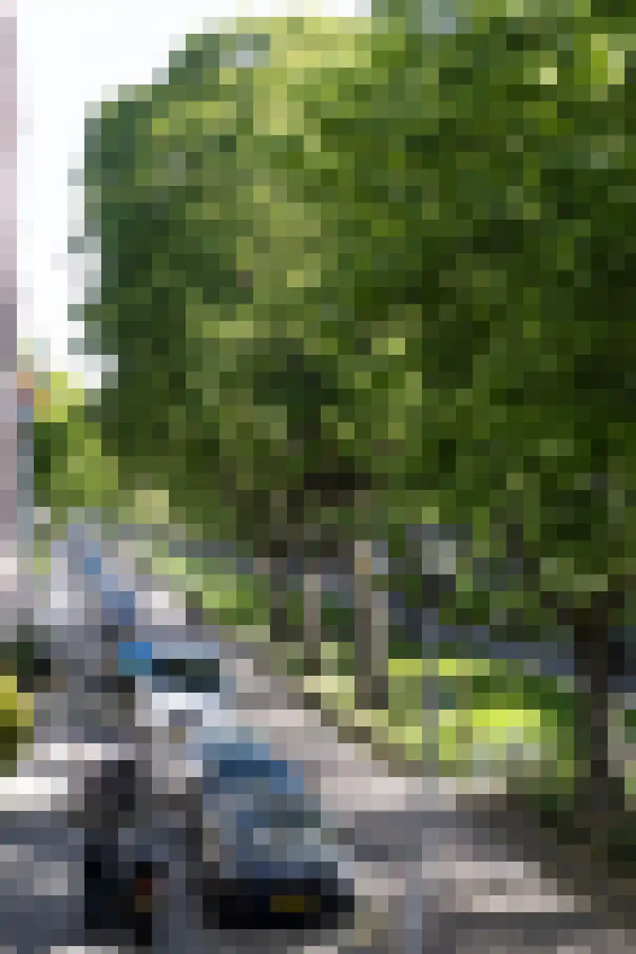 Elisabethstraat 1 Rotterdam thumbnail 39