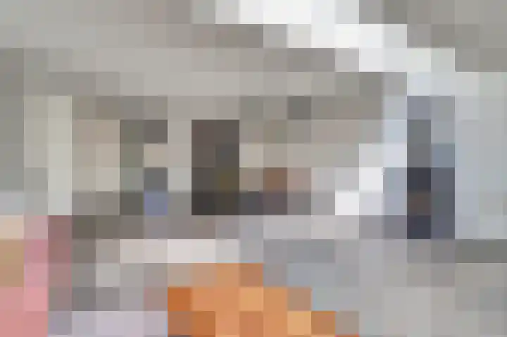Elisabethstraat 10 Geertruidenberg thumbnail 11