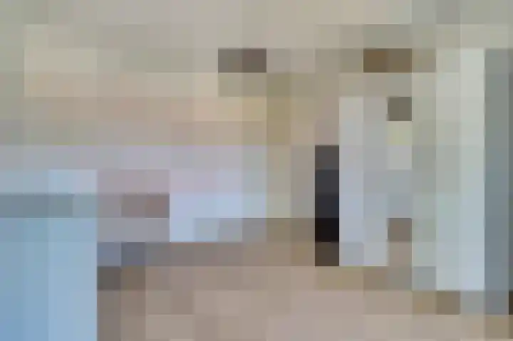 Elisabethstraat 10 Geertruidenberg thumbnail 20