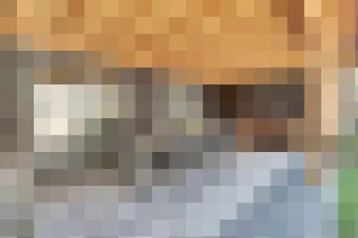 Elisabethstraat 10 Geertruidenberg thumbnail 33