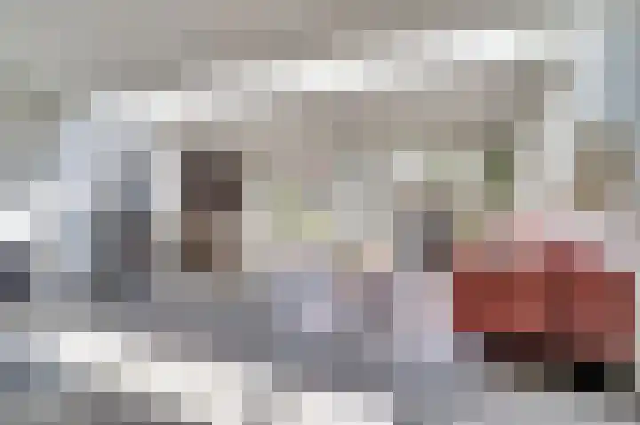 Elisabethstraat 10 Geertruidenberg thumbnail 7