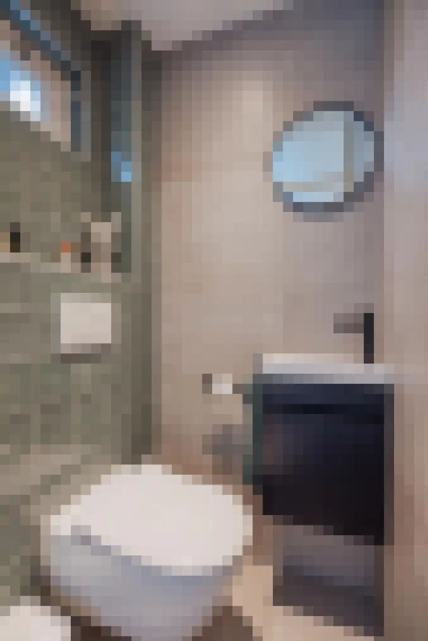 Elisabethstraat 14 Geertruidenberg thumbnail 12