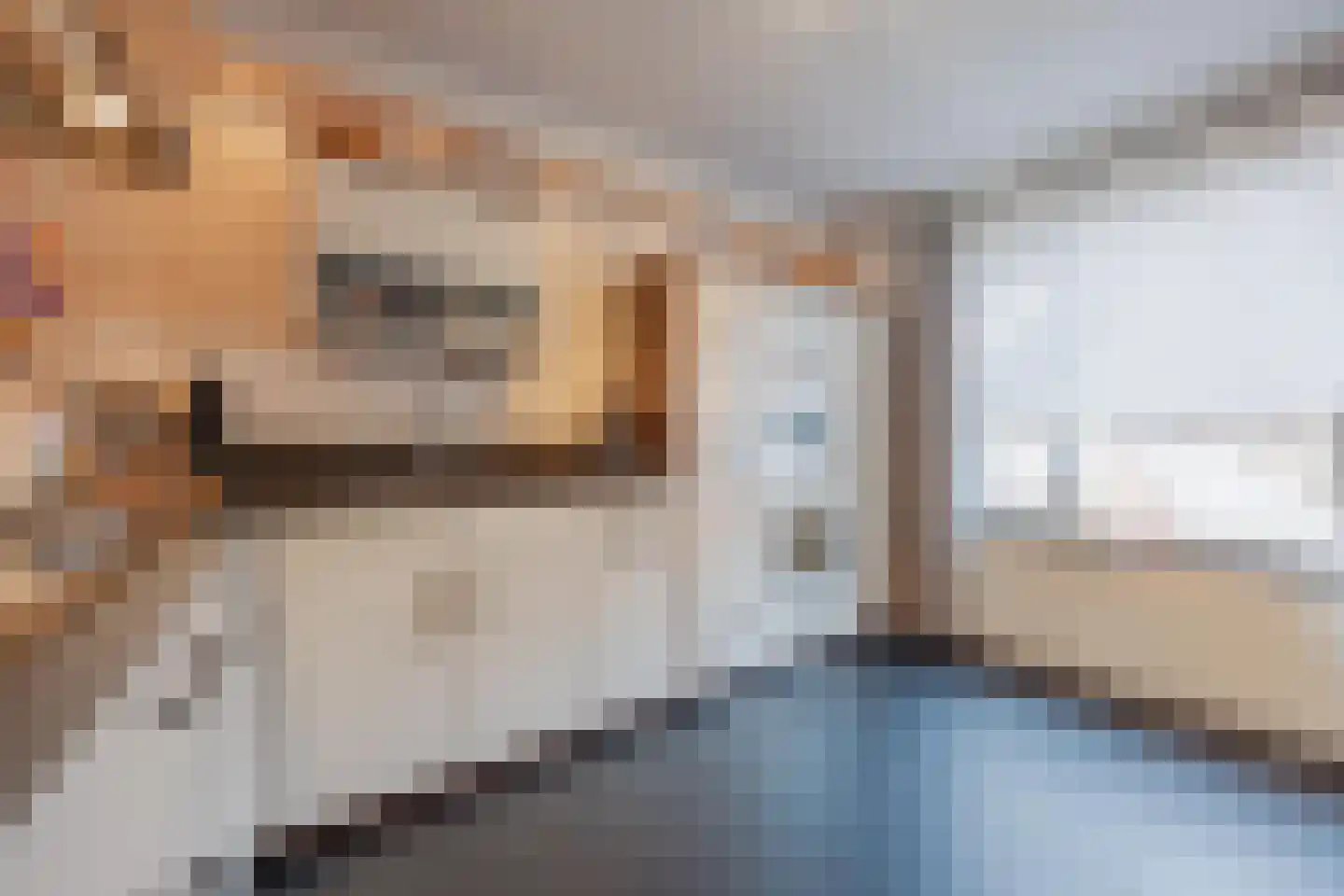 Elisabethstraat 14 Geertruidenberg thumbnail 14
