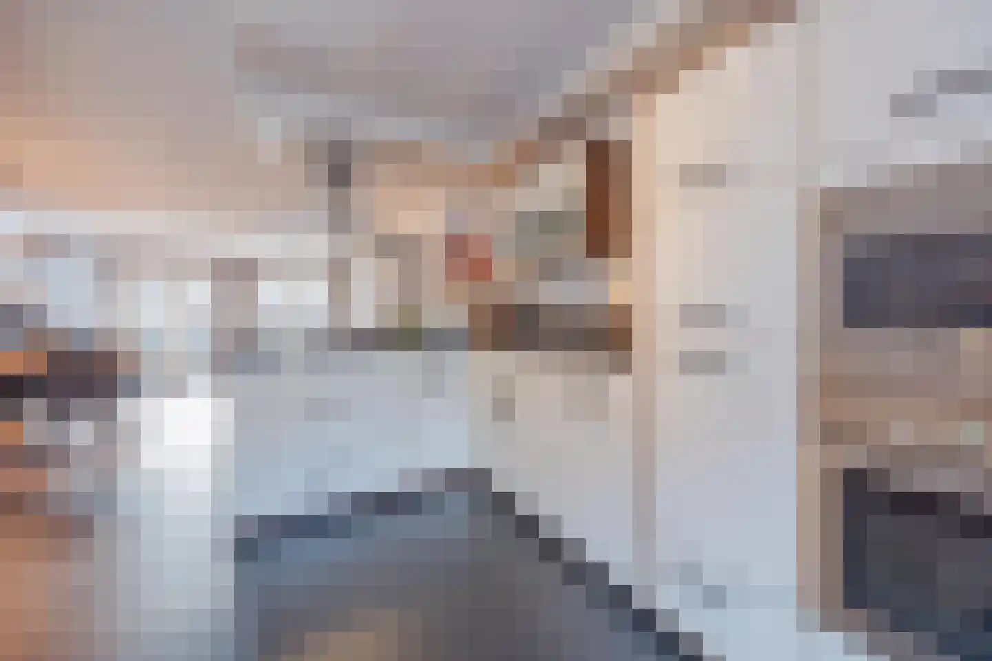 Elisabethstraat 14 Geertruidenberg thumbnail 15