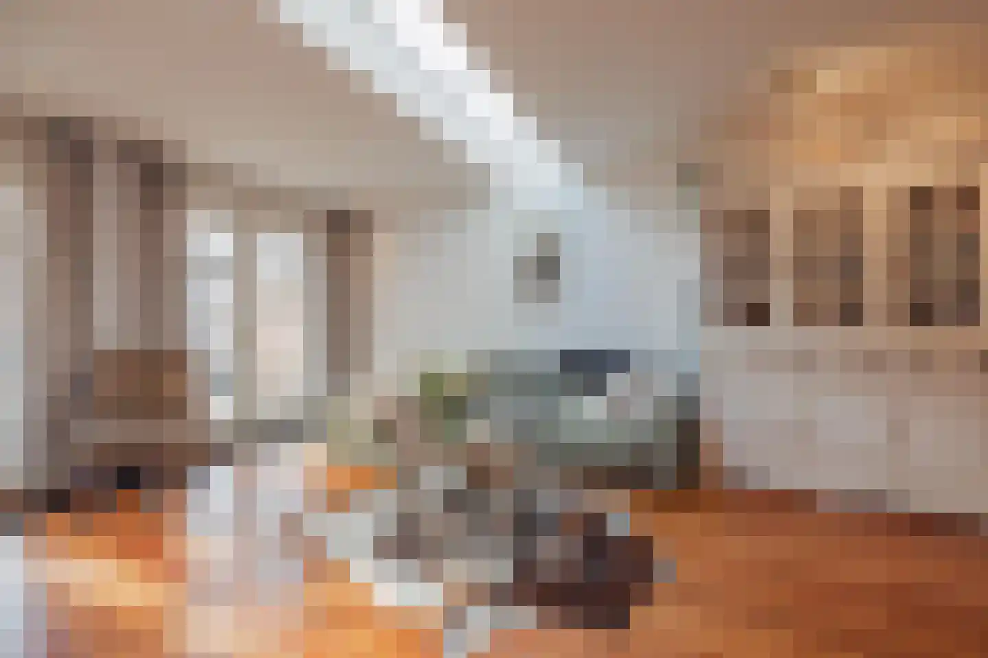 Elisabethstraat 14 Geertruidenberg thumbnail 19
