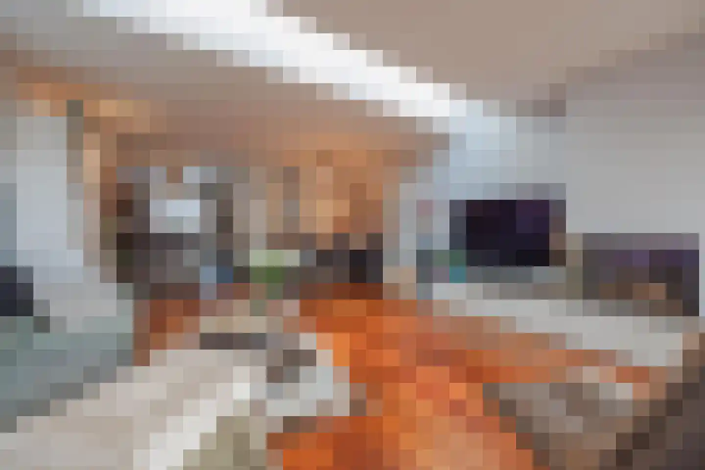 Elisabethstraat 14 Geertruidenberg thumbnail 21