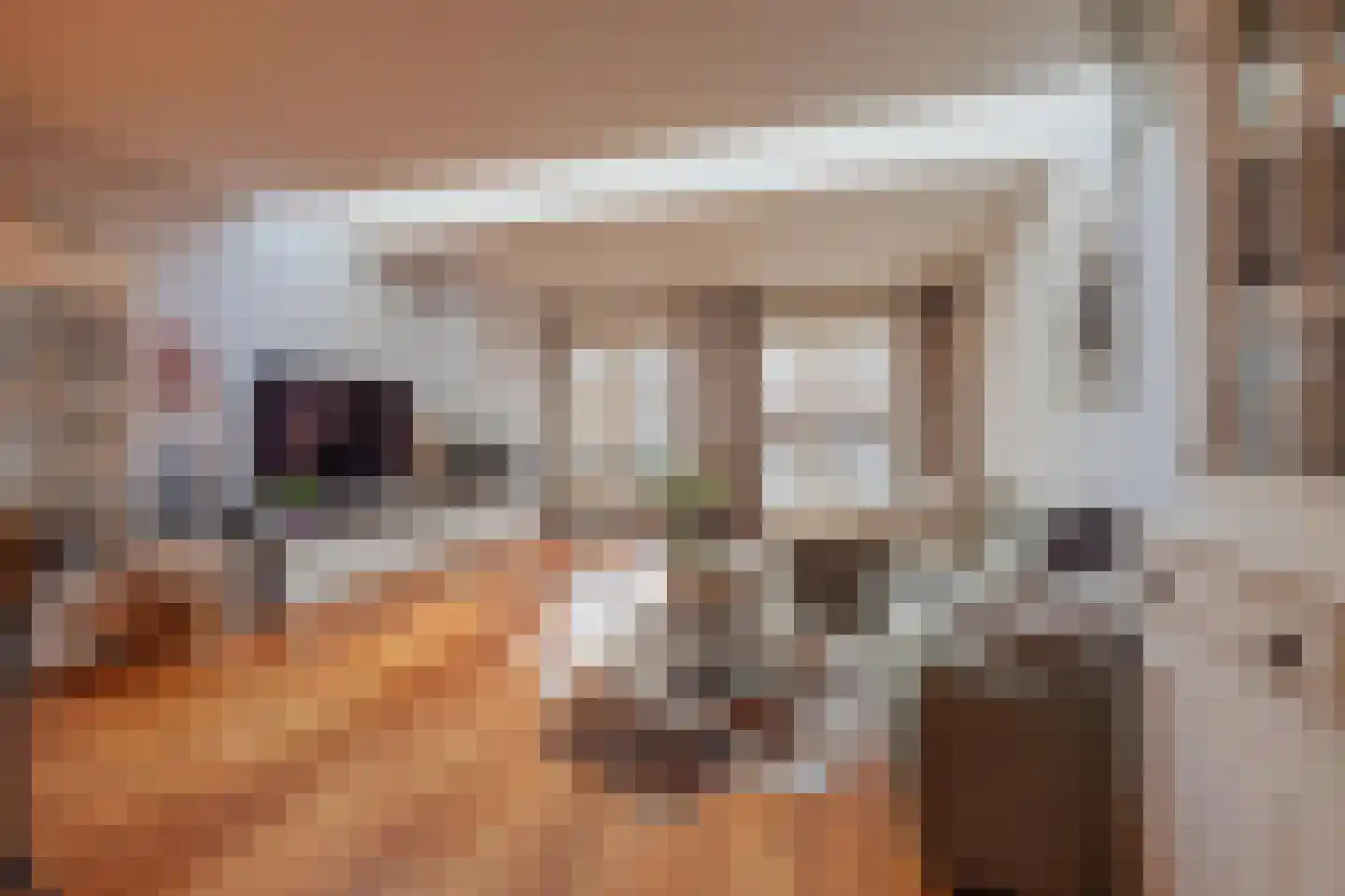 Elisabethstraat 14 Geertruidenberg thumbnail 22
