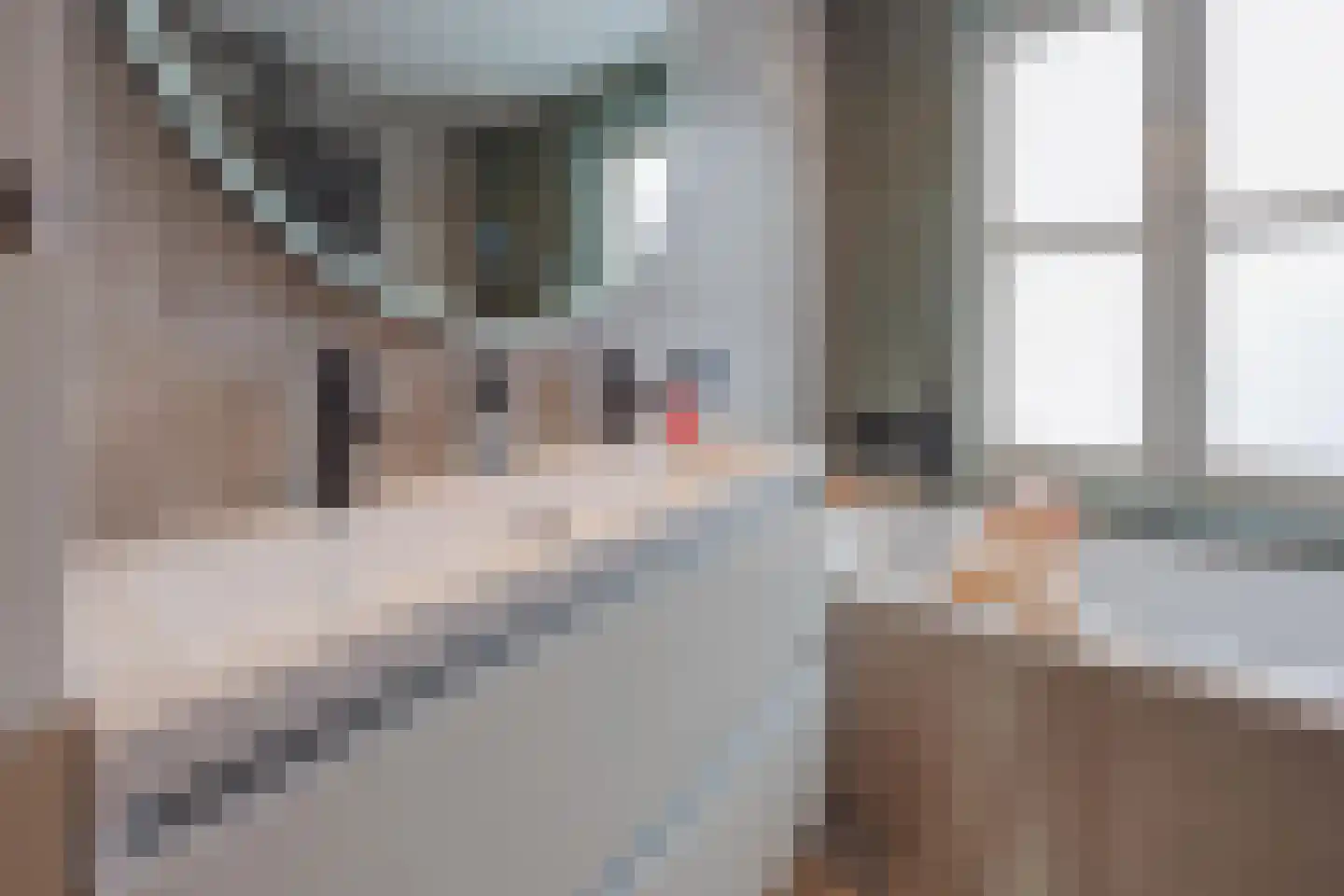 Elisabethstraat 14 Geertruidenberg thumbnail 25