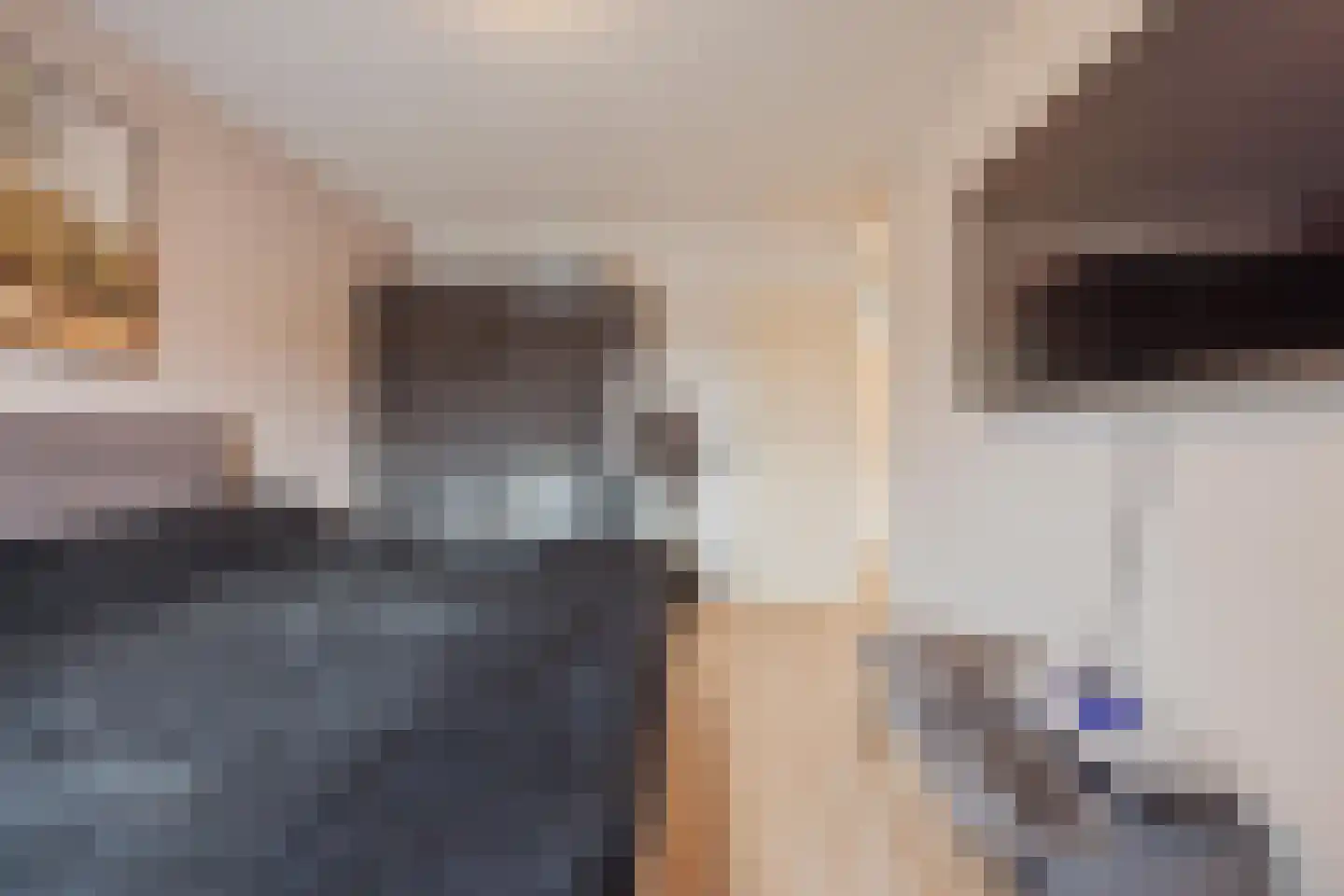 Elisabethstraat 14 Geertruidenberg thumbnail 32