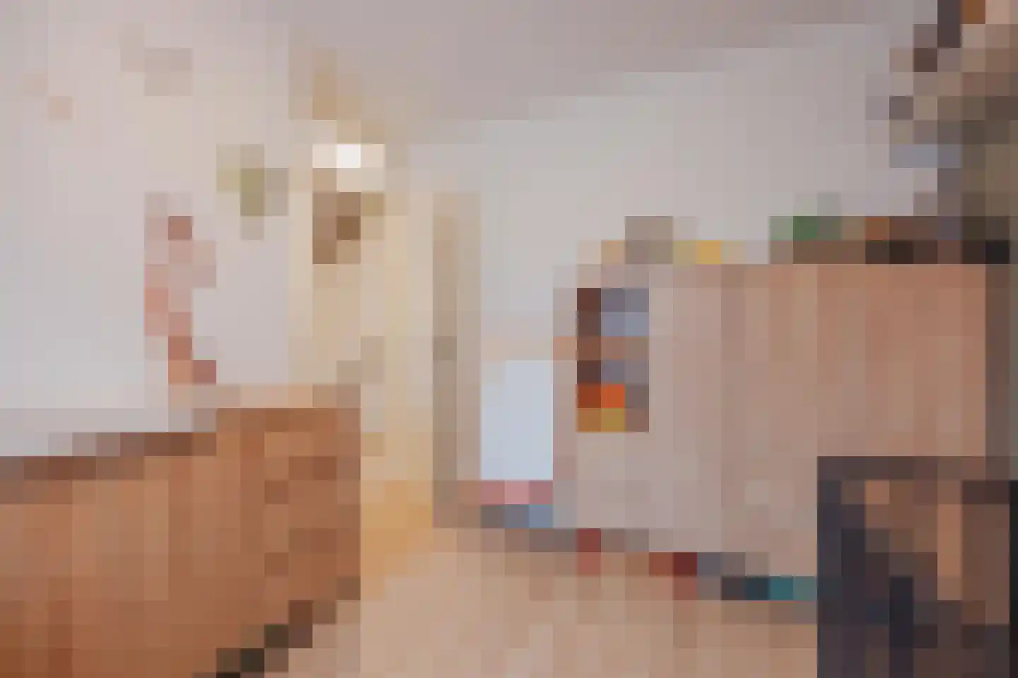 Elisabethstraat 14 Geertruidenberg thumbnail 34