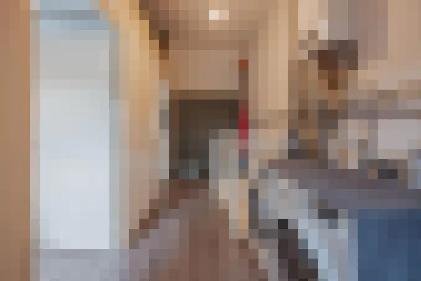 Elisabethstraat 14 Geertruidenberg thumbnail 35