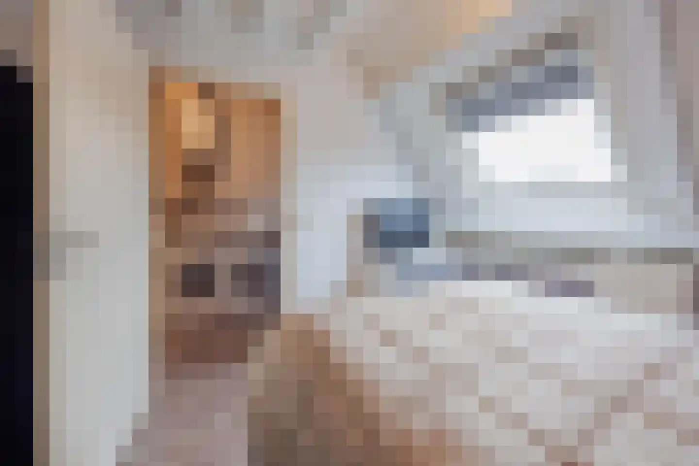 Elisabethstraat 14 Geertruidenberg thumbnail 38