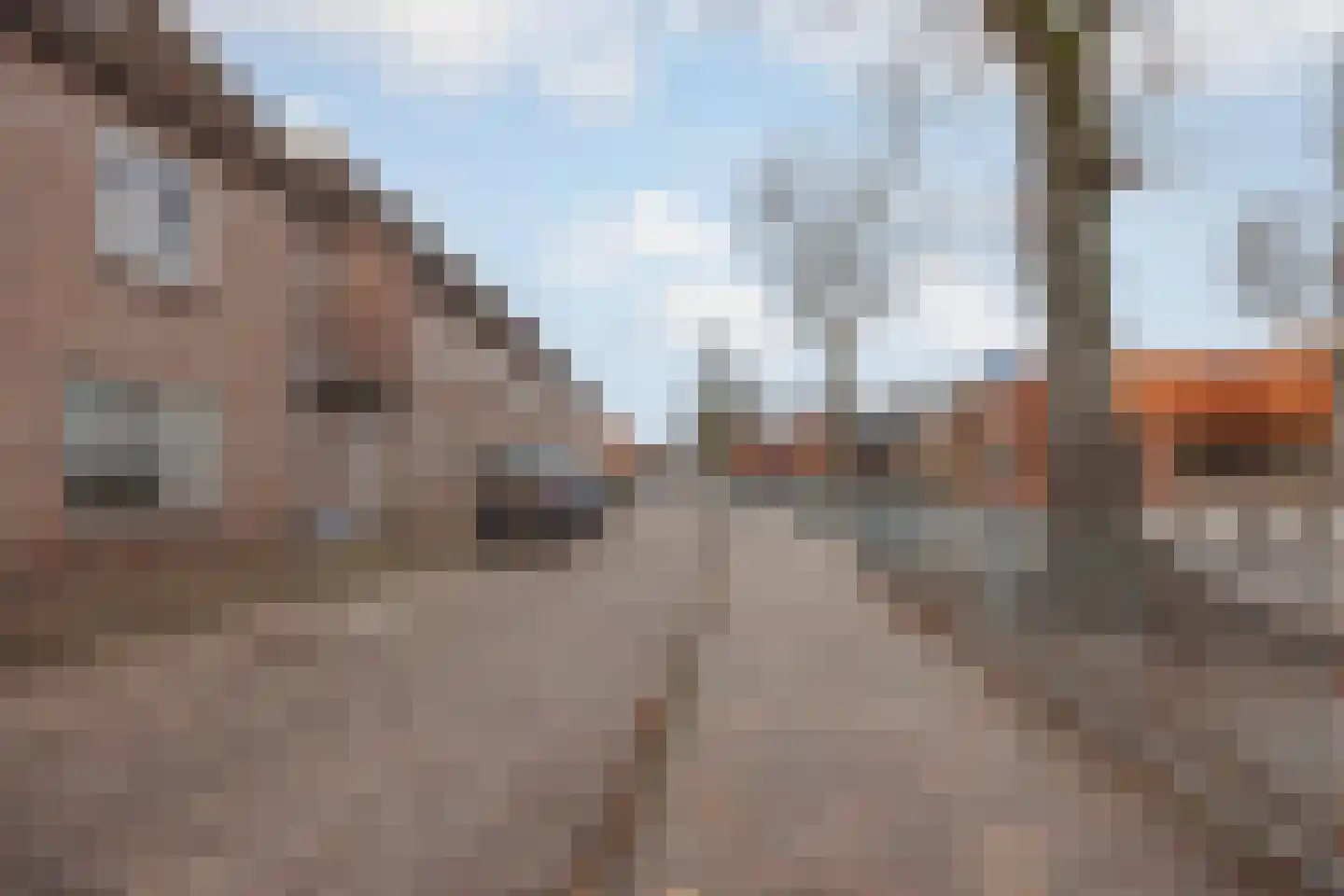 Elisabethstraat 14 Geertruidenberg thumbnail 9